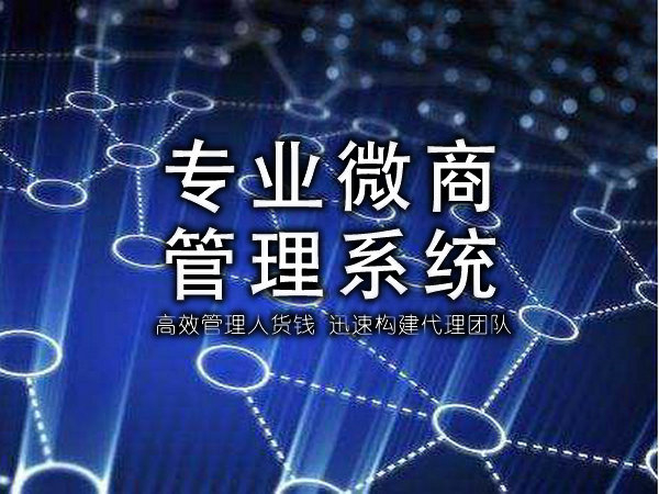 微商控價防竄貨管理系統一物一碼